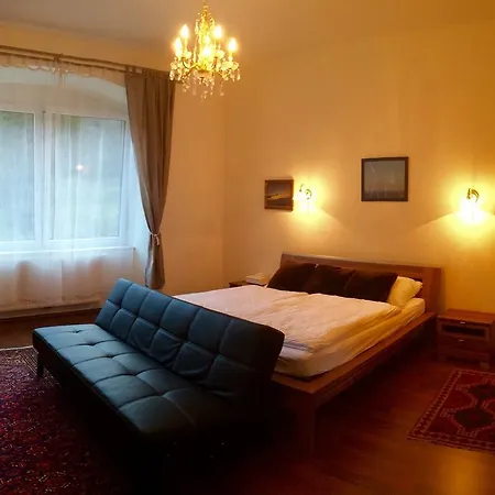 Wellspacher Apartment *