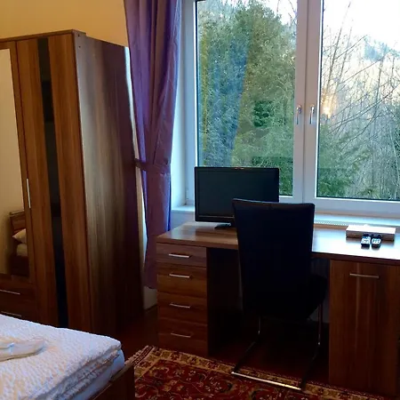 Apartment Wellspacher *