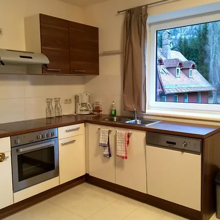 Apartment Wellspacher *