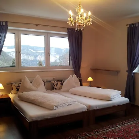 Apartment Wellspacher *