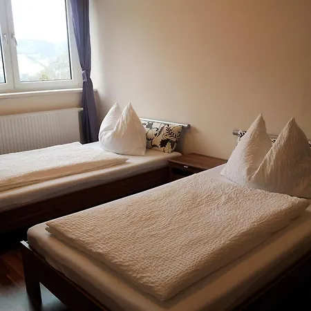 Wellspacher Apartment *