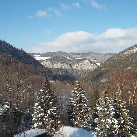 Apartamento Wellspacher Semmering