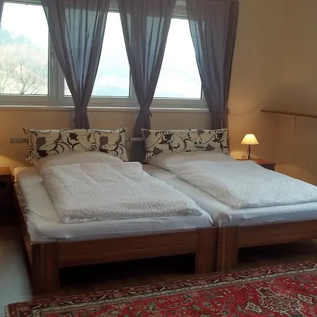 Wellspacher Apartment *